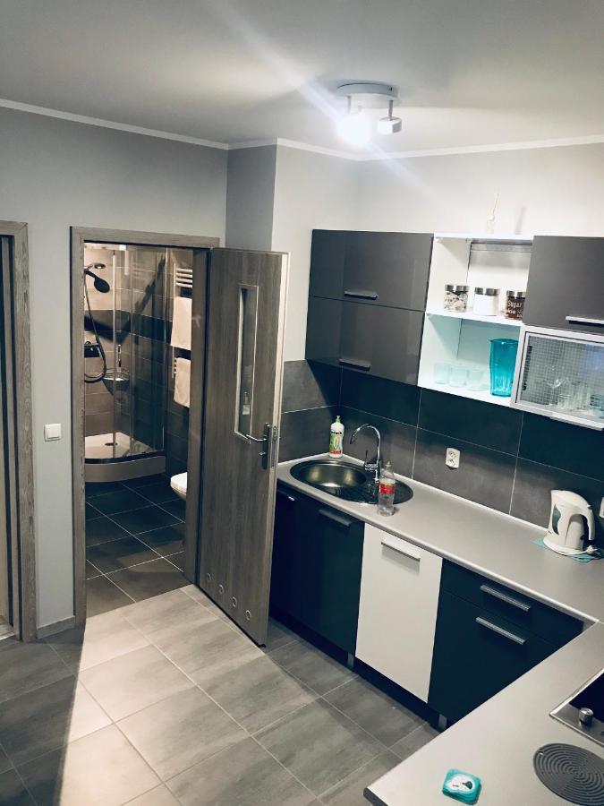 Apartament C18 Jelenia Góra Exterior foto