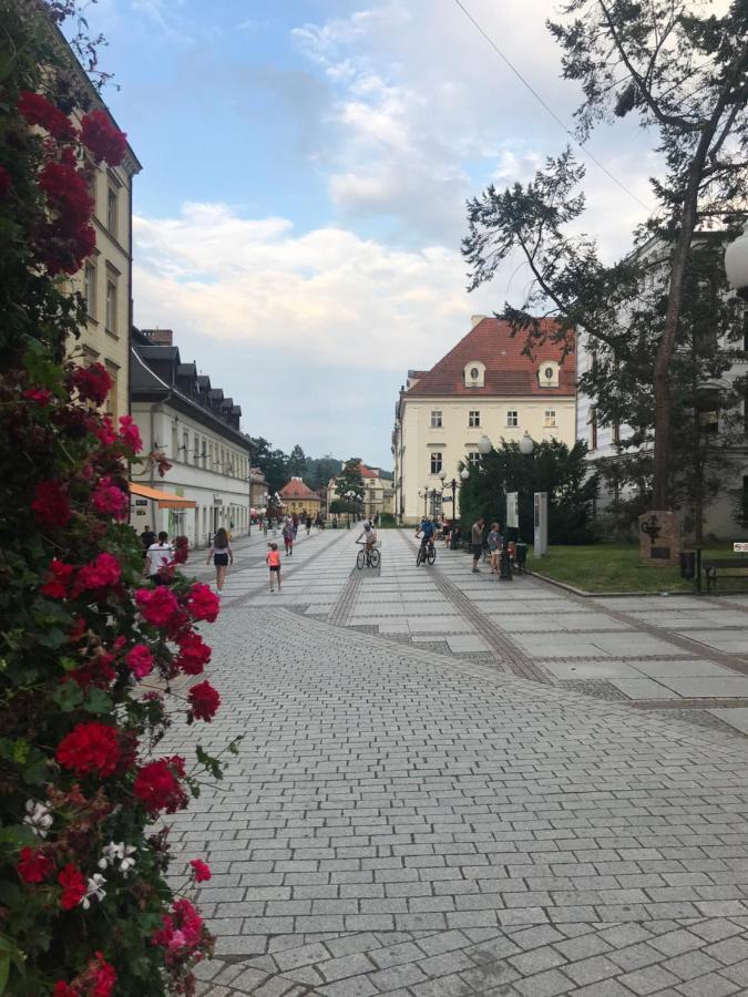 Apartament C18 Jelenia Góra Exterior foto